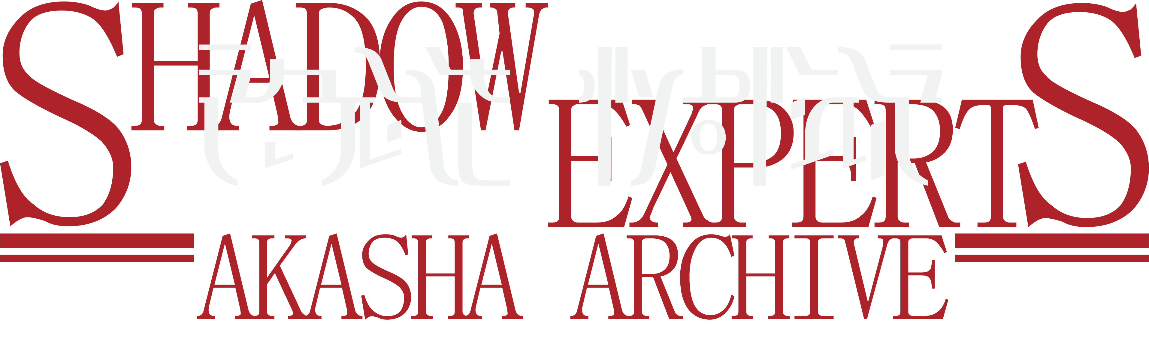 Shadow Experts Akasha Archive